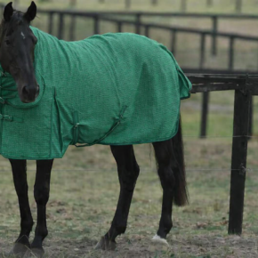 equistrain equistrain